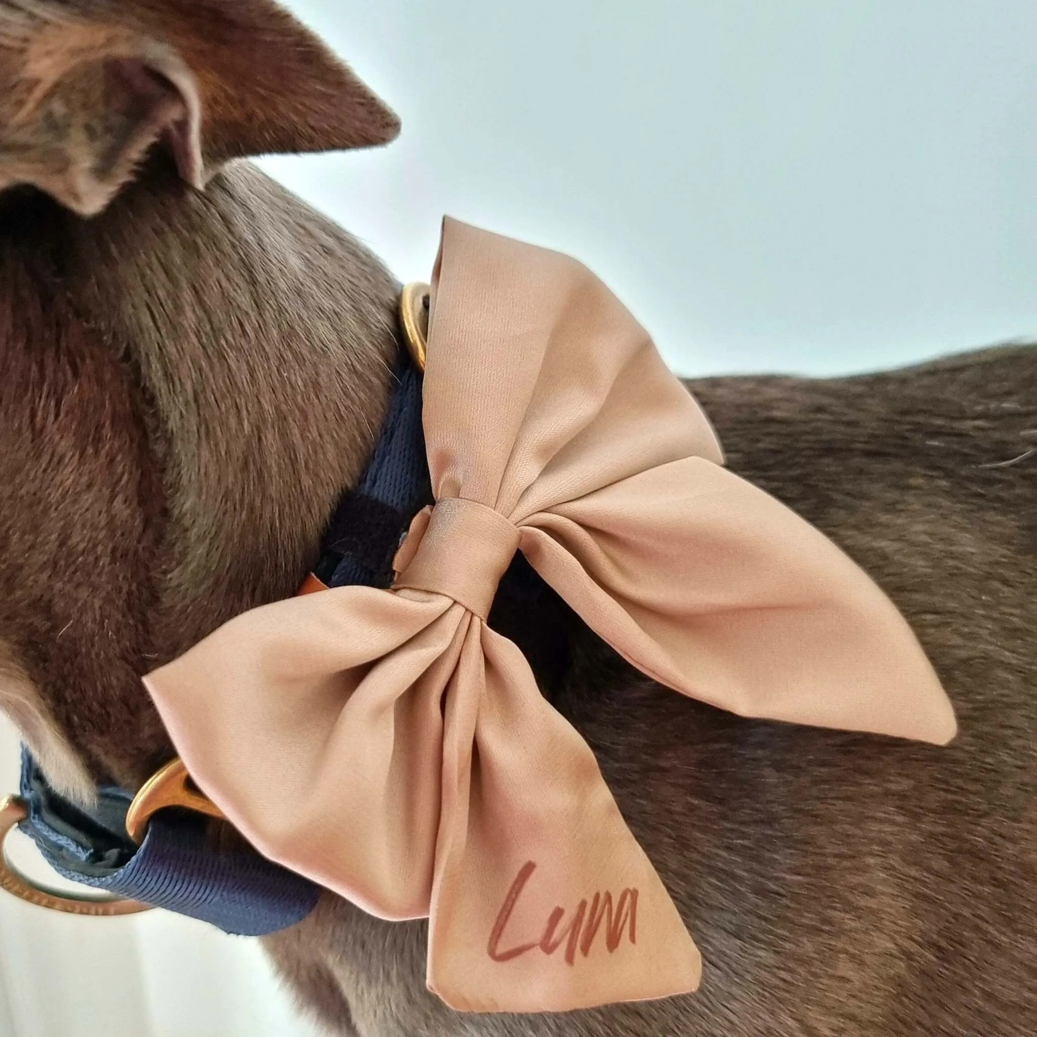 Beige satin sailor dog bow tie