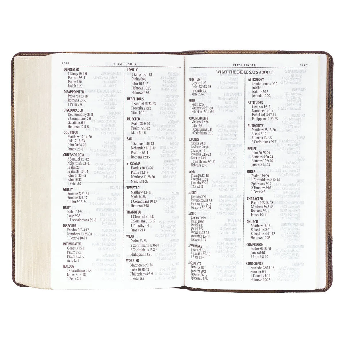 Brown Two-Tone Giant Print Bible KJV038