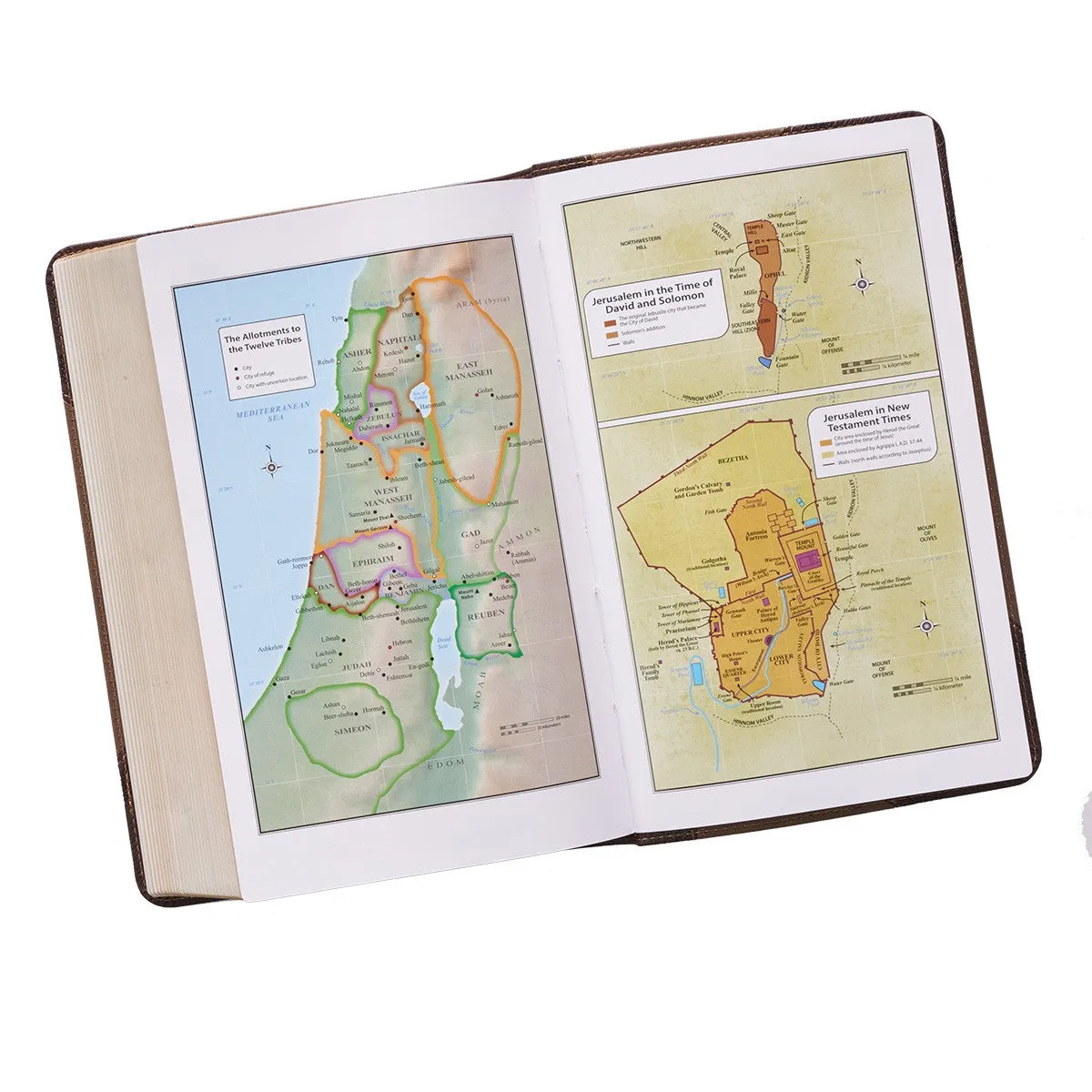 Brown Two-Tone Giant Print Bible KJV038