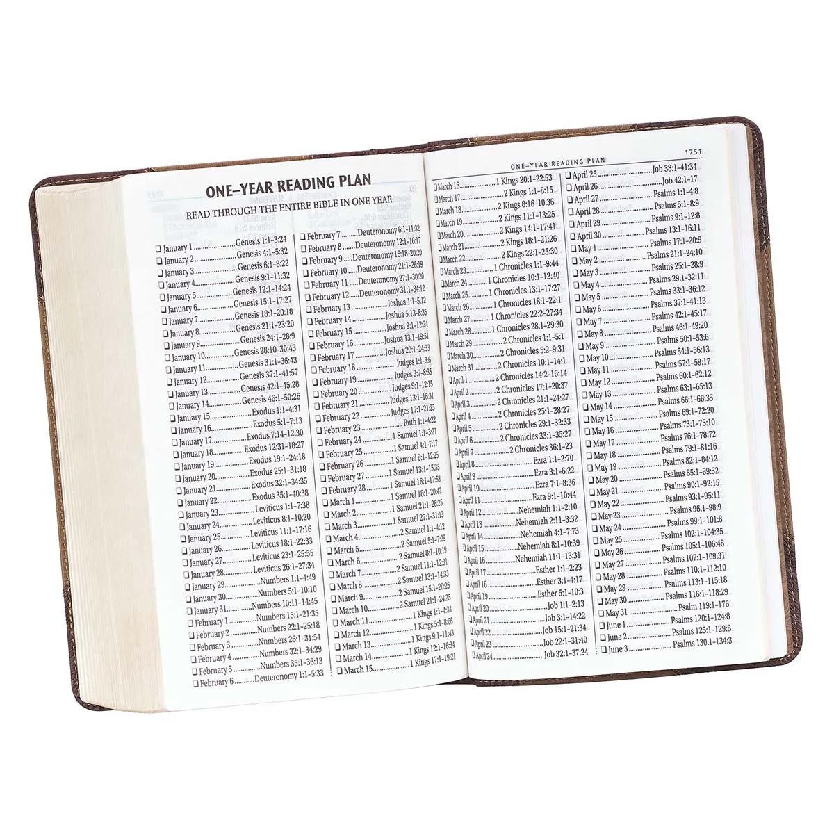 Brown Two-Tone Giant Print Bible KJV038