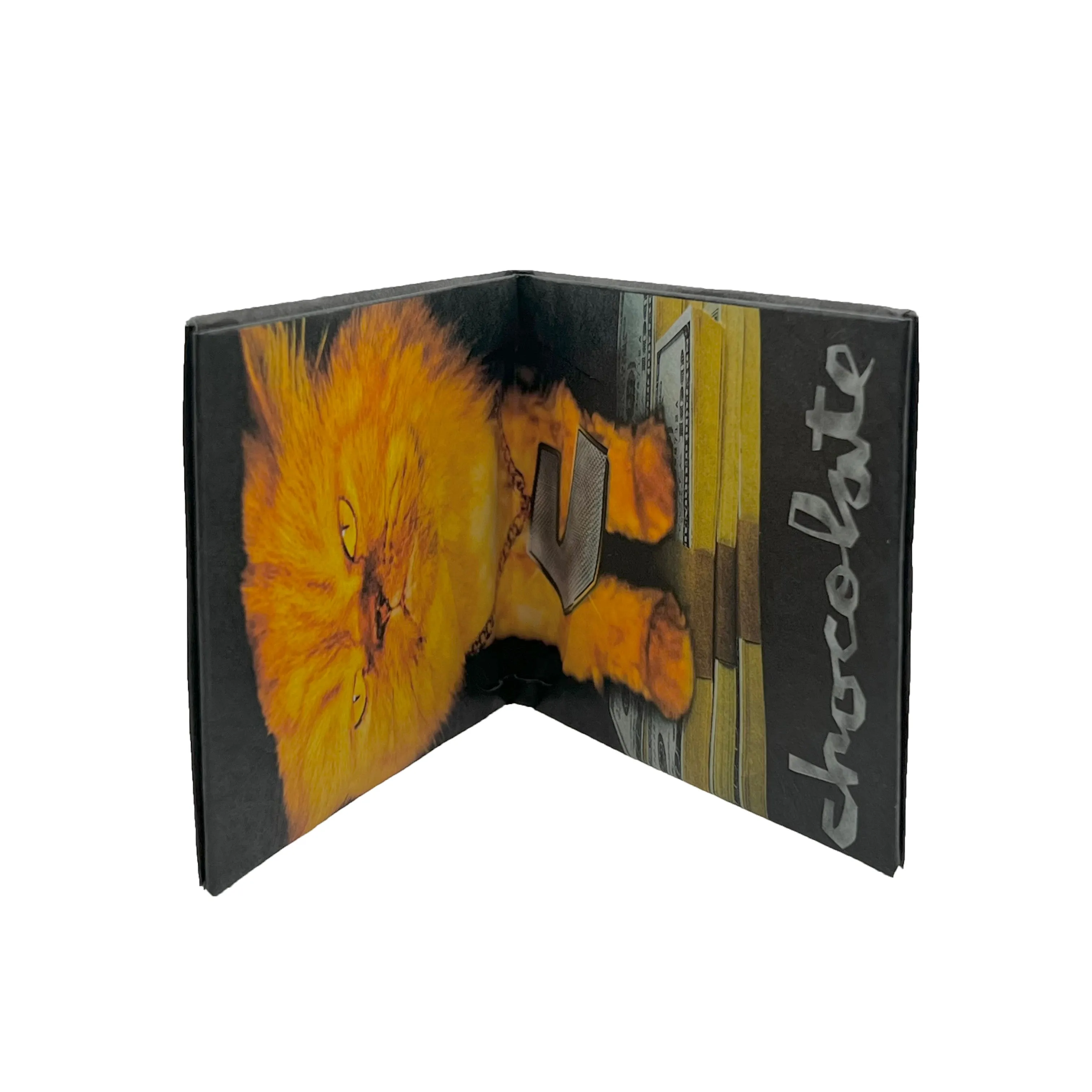 Chocolate Garvey Tyvek Wallet