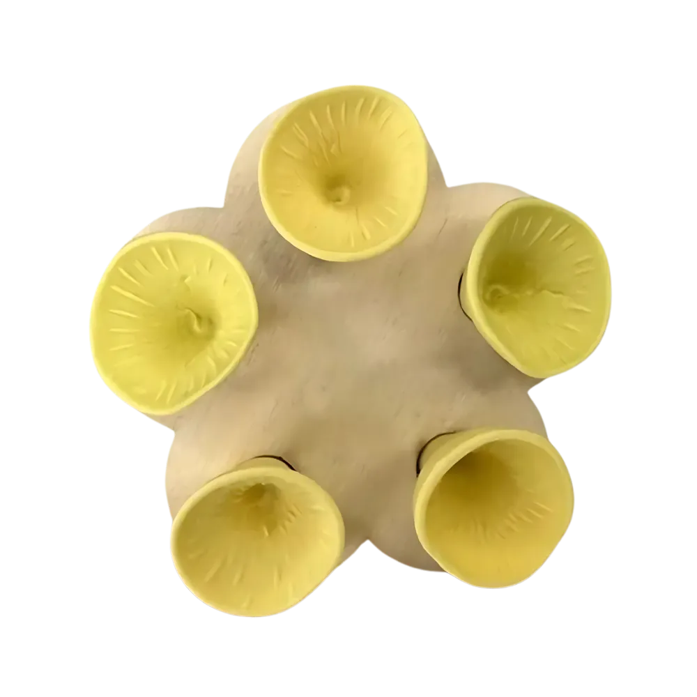 Discreet Attractive Color Bee Cup