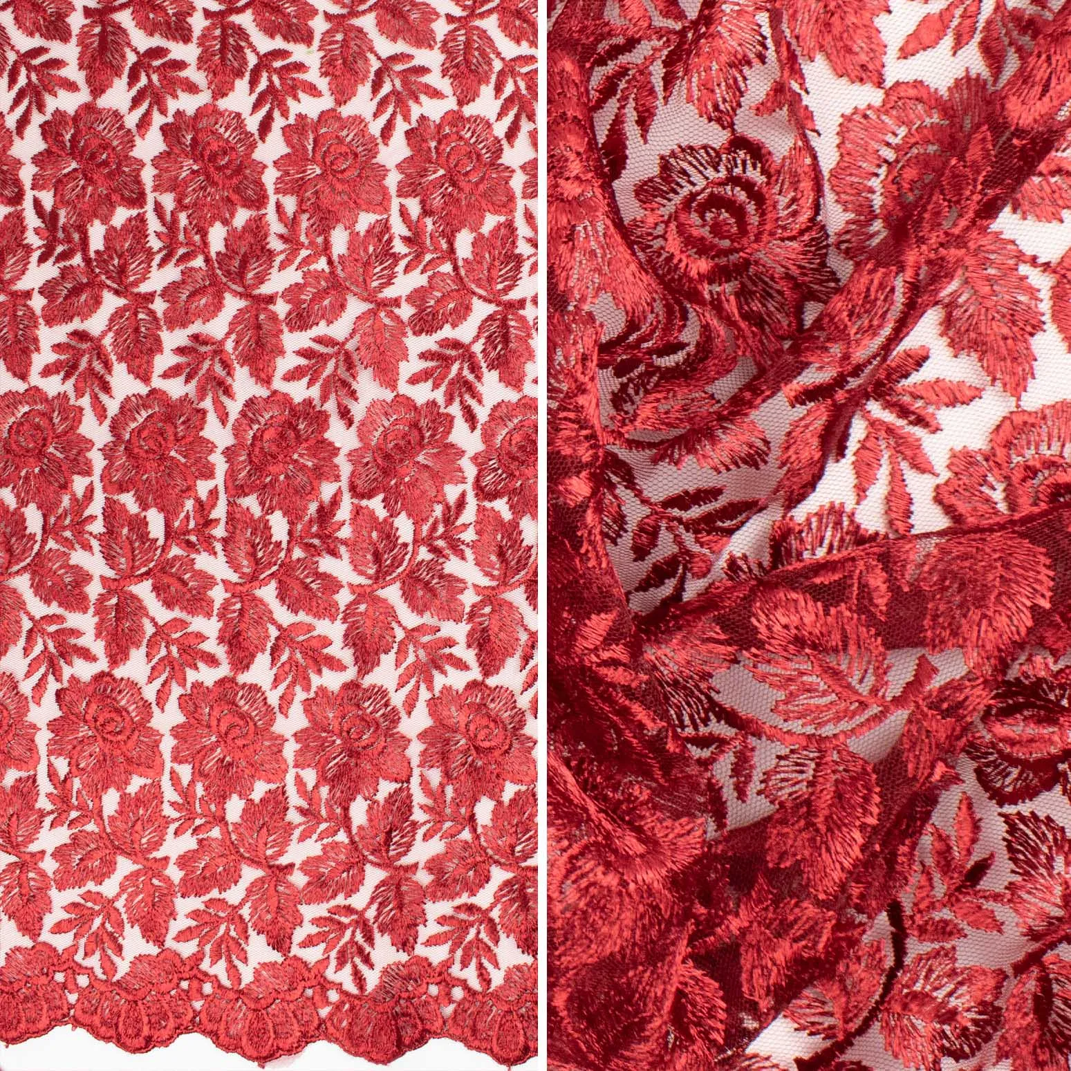 Embroidered Lace