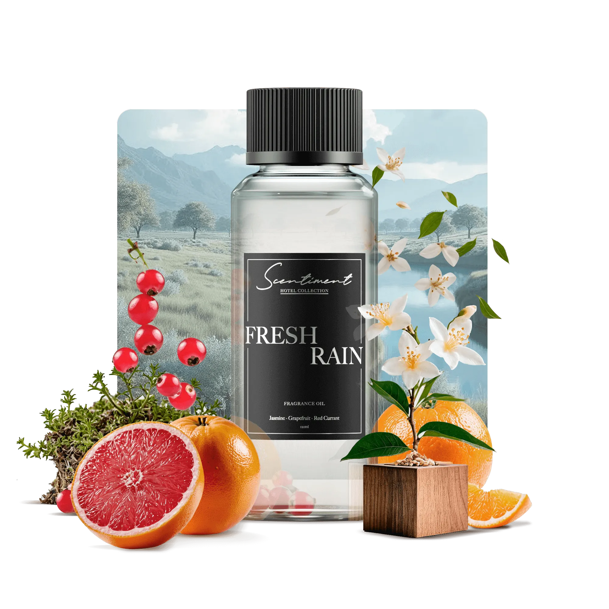 Fresh Rain