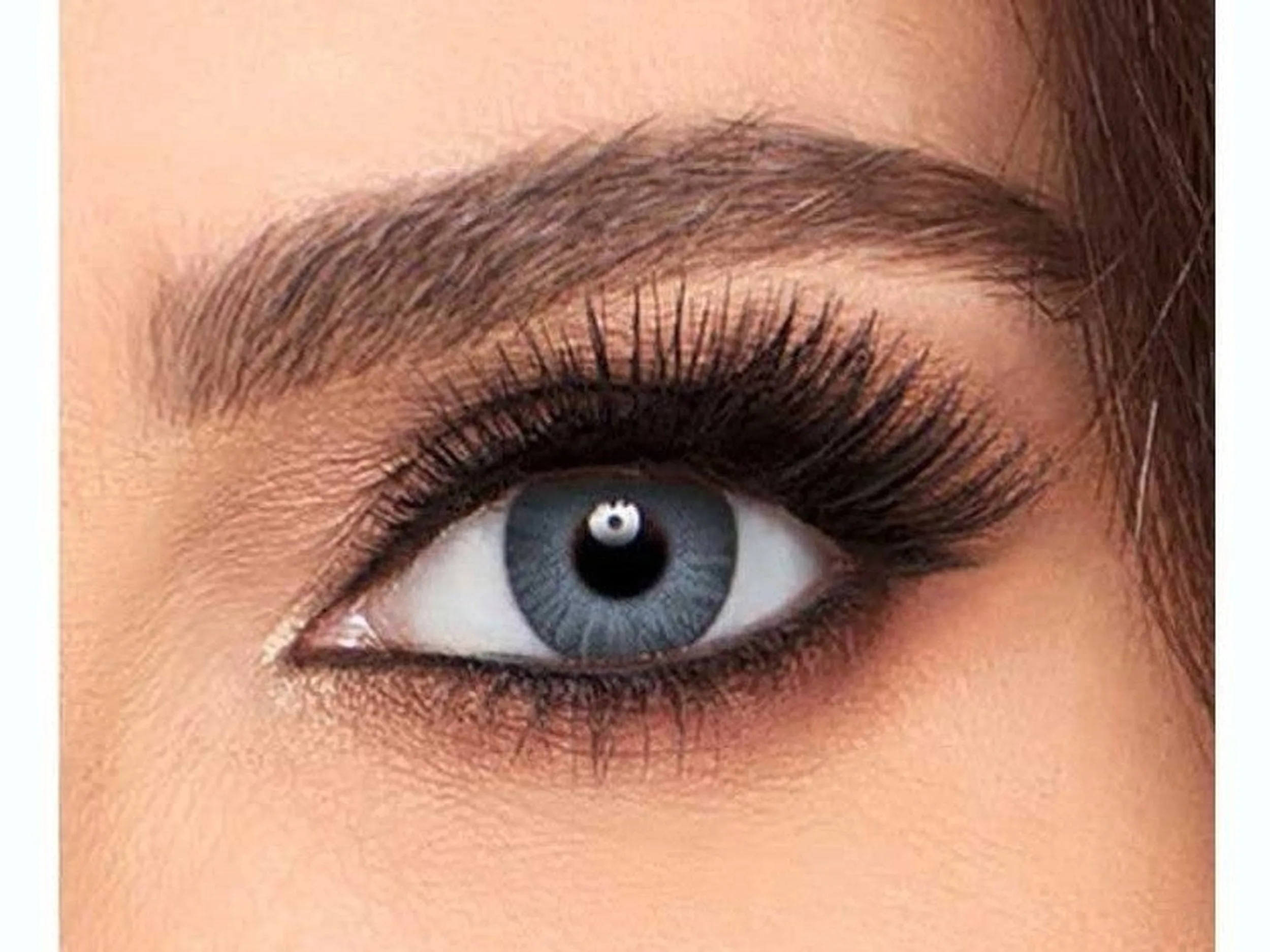Freshlook, Sterling Gray, Colorblends, One Month